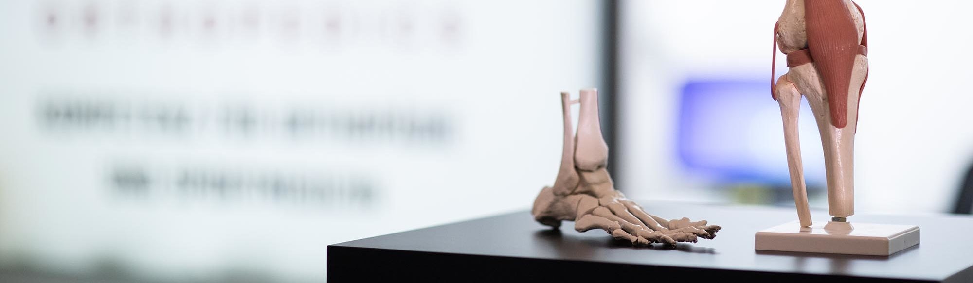 Anatomical models of knee and foot on a table at the Athlon Orthopedics practice — in front of a blurred Athlon logo